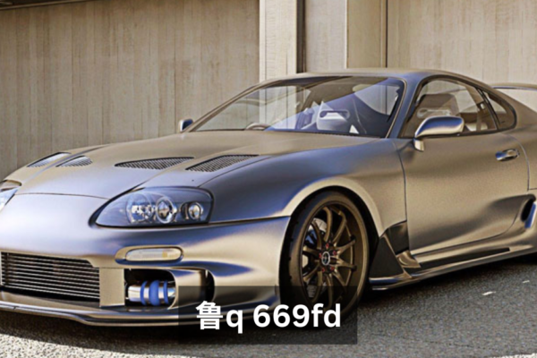 鲁q 669fd